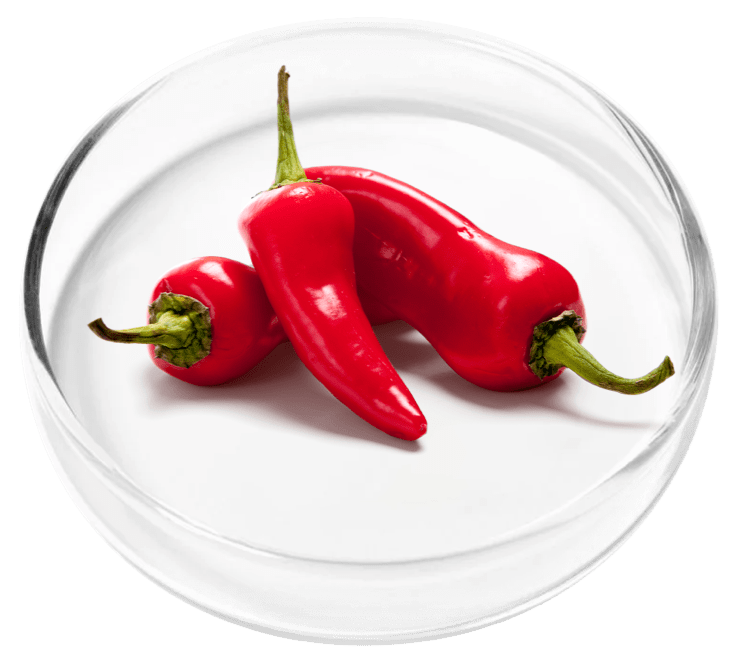 Ginseng Roots and Leaves