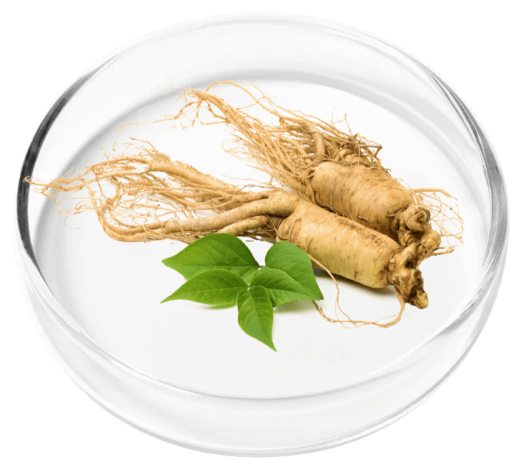 Natural Green Leaves